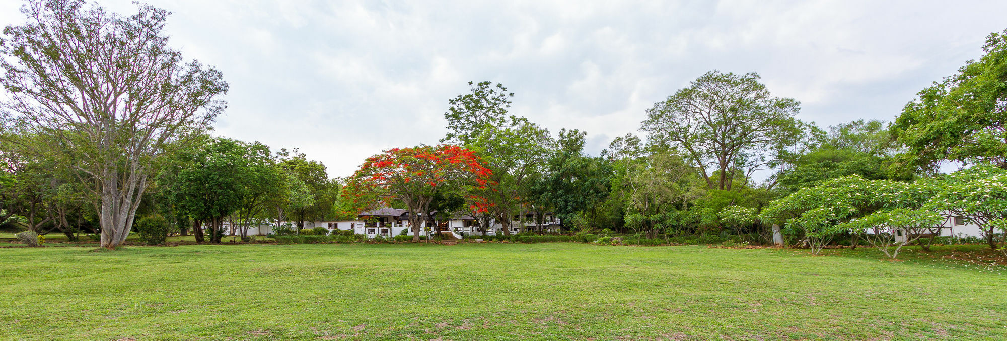 Rissington Inn Hazyview Ngoại thất bức ảnh